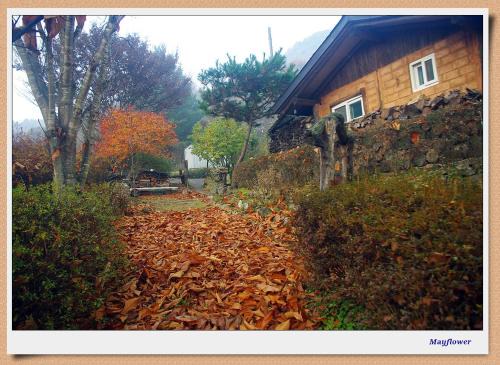 숲속 작은 황토집