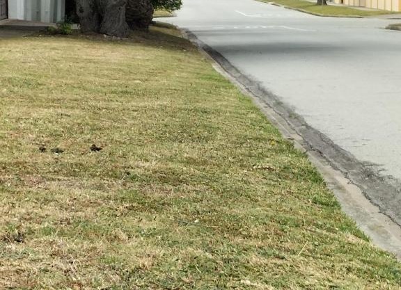 15 on 11th Summerstrand