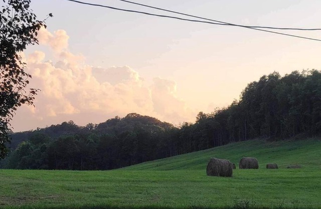 1901 Dandy Remodeled Historical Home