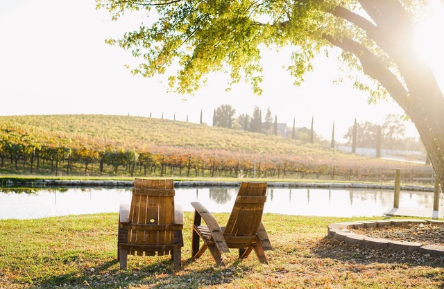 1Romantic Suite Private Entrance with a unique View of a vineyard