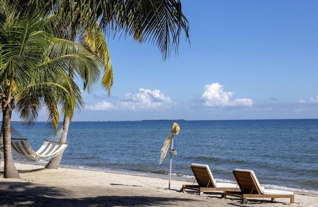 2 Spacious Units, Onsite Pool, Free Airport Shuttle, Free Parking