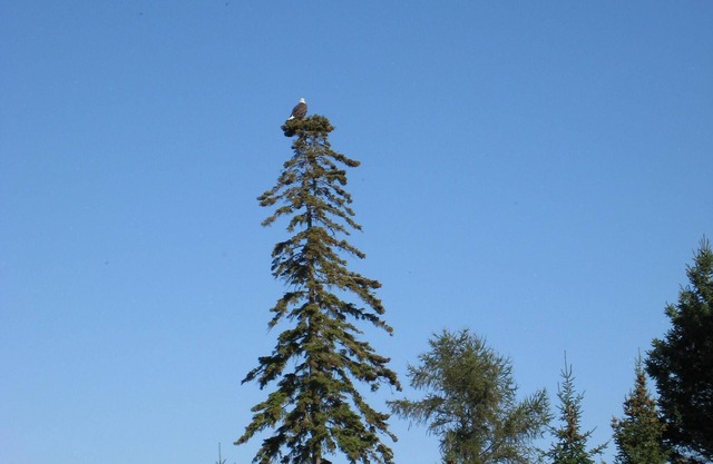 24 Beach & Pool Condo