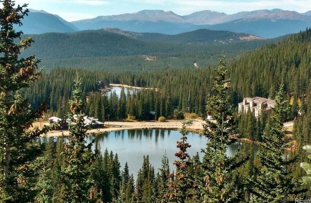 306 - 1br · Cozy Modern Condo on The Lake