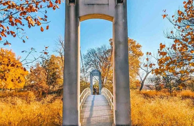 3bd, 2bth, 1K&2Q, Walk to park! Park 1 car in Ga.!