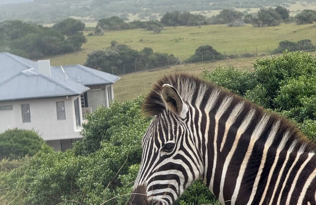 5 Bedroom Imbabala Eco-Lodge nestled in a peaceful estate with stunning views
