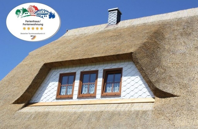 5 star hotel acc. Pure DTV luxury, free of charge 200m from the beach, pets allowed