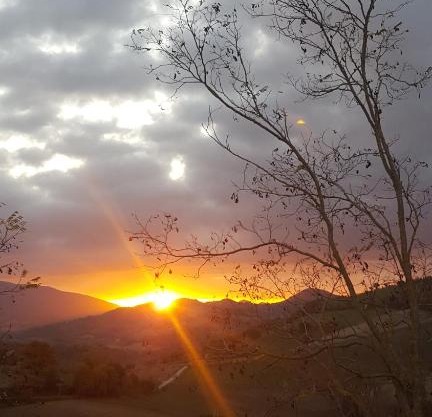 A casa di Matisse - appartamento vacanze