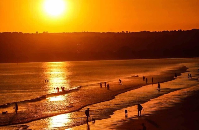 A cozy 200 year old beamed cottage. pet friendly,secure garden.