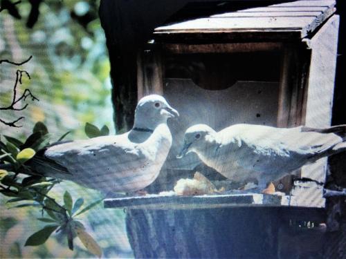 A la mer, VUE MER à la !
