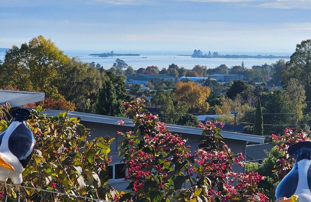 A large and sunny family home close to all the amenities and perfect for exploring Nelson and Tasman