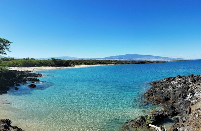 A RELAXING STAY NEAR SEA–TAC AIRPORT