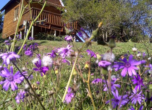 A Stone's Throw Accommodation