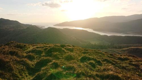 Abergwynant Farm Glamping & Apartments