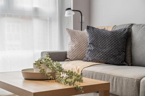 Accessible flat near the Toledo Bridge - 4B