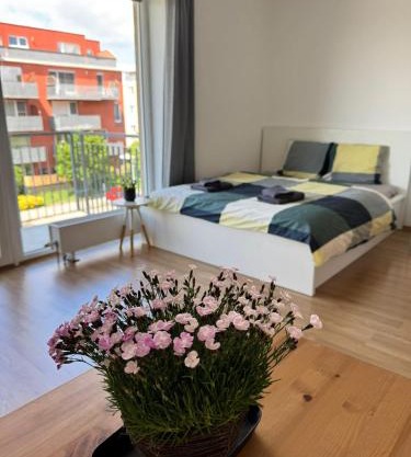 Airport Apartman Víšek