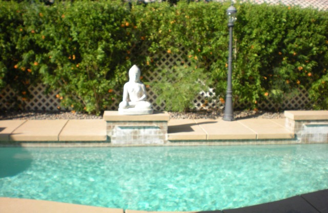 Aloha In The Desert With A Pool- 30 night minimum & 4 months winter bookings..