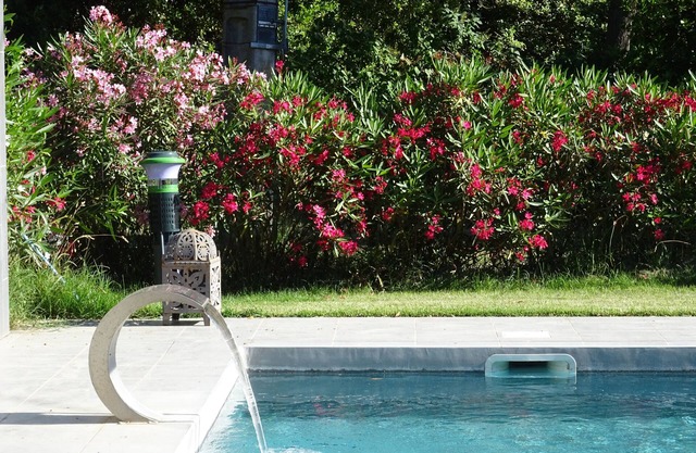 Ancienne Commanderie, 18 pers, private heated pool and garden, quiet location
