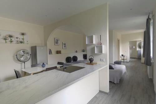 ANTICA CORTE - Anémone