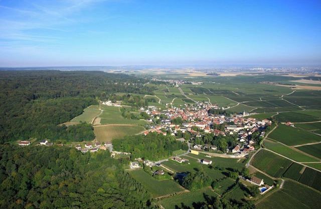 ANTOINETTE COTTAGES. COTTAGE FIZZY POP