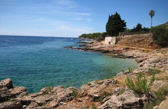 Apartment Ana - sea view; A3(4+1) - Zavala, Island Hvar, Croatia