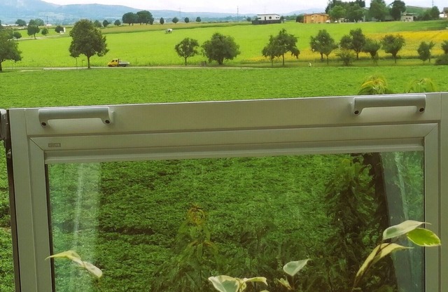 Apartment 'Green' with Private Terrace, Shared Garden and Wi-Fi