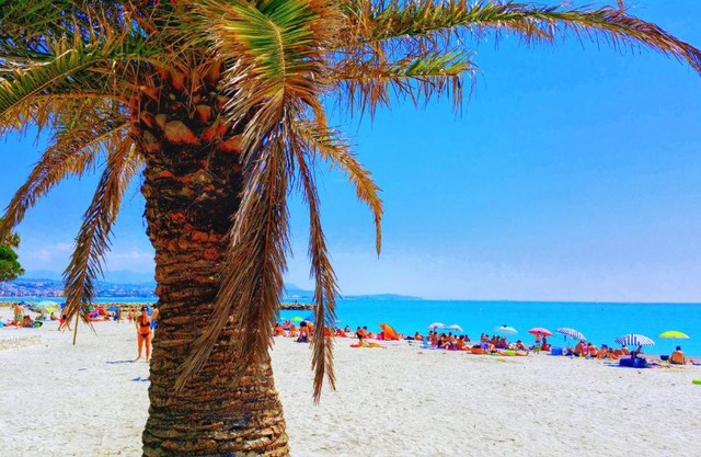 Apartment hotel Luxe vue mer à 100 mètres des plages étage 8