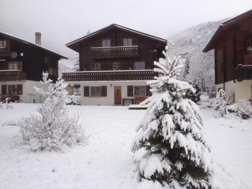 Apartment in Fieschertal with Swiss Alps Views
