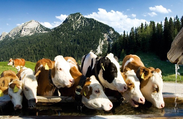 Apartment in Huettschlag near the ski slopes