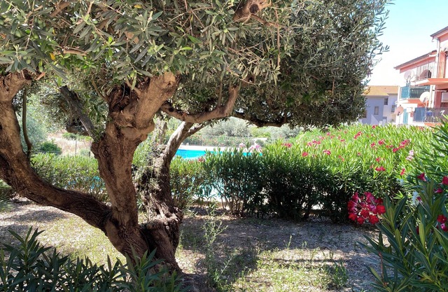 Apartment - Sleeps 2 & Swimming Pool