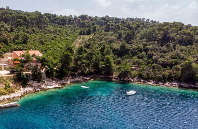 Apartments by the sea Brna, Korcula - 9159