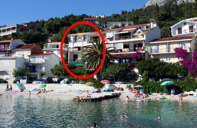 Apartments by the sea Podgora, Makarska - 6670