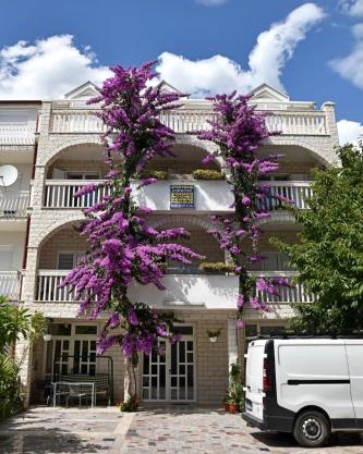 Apartments Cipetic