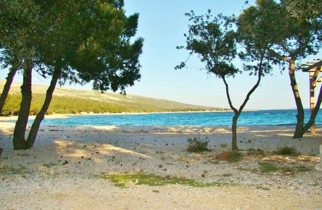 Apartments Davorka, (14950), Šimuni, Croatia