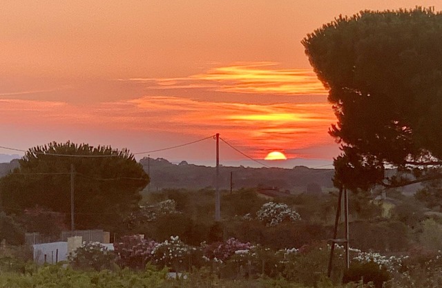 Appartamenti Indipendenti in Villa a due Passi dal Mare