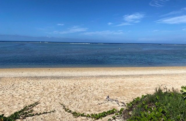 Appartement 'Le Margouillat' Face au Lagon Avec Jardin