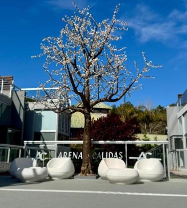 Arenas Calidas Carilo