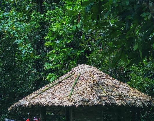 Aruvi Homestay idukki