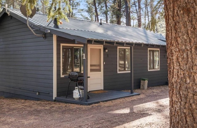 Aspen Cabin 1 Summary