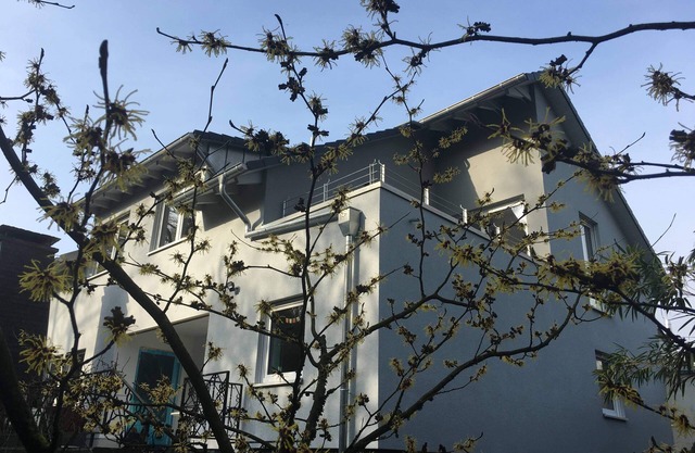 At home between Cologne and Düsseldorf