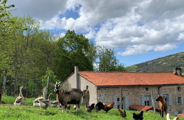 Authentic Cottage with Fireplace and Garden in Sauvain