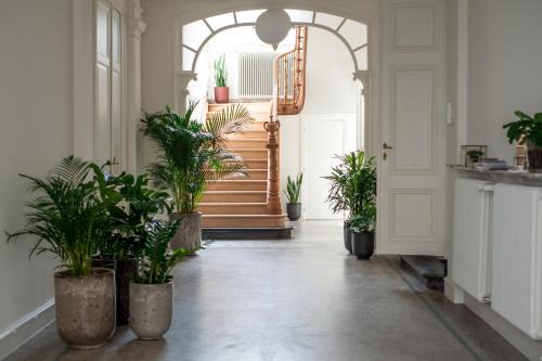 B'Guest Sleep & Retreat