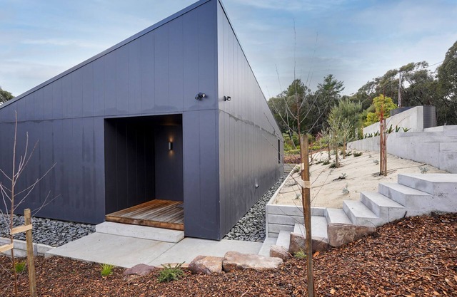 Banjo Treehouse - Architectural Elegance