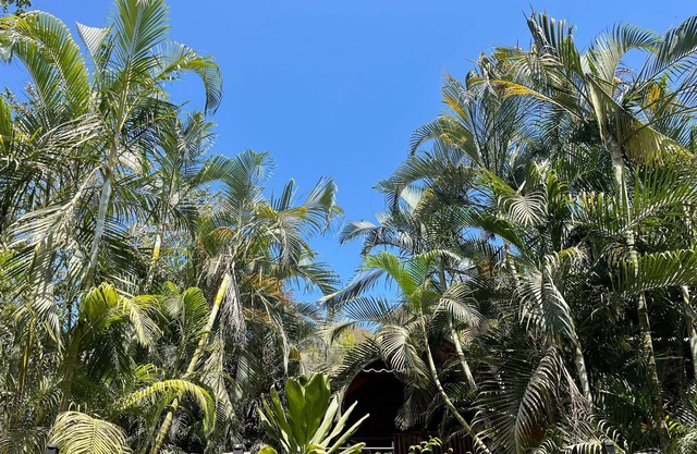 Beach Chalet 1 Garden View Santa Beach.