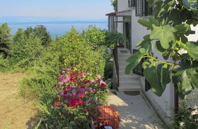 Beautiful apartment for 5 guests with A/C, WIFI, TV and terrace