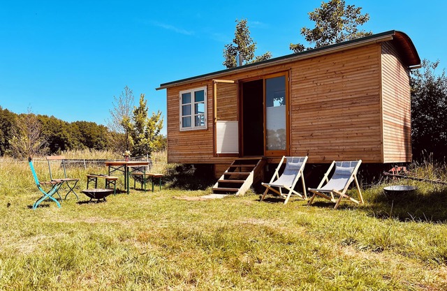 Beautiful circus wagon on the sheep pasture