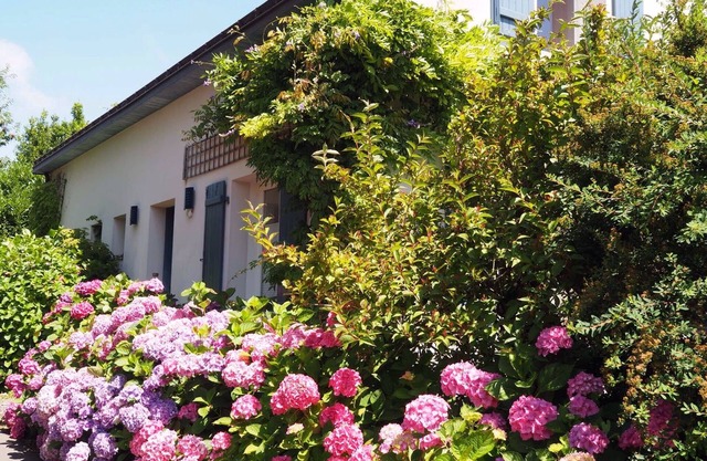 Beautiful house on the seaside, in a quiet countryside environment