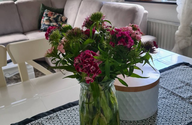 Beautiful vacation home in close touch with nature.