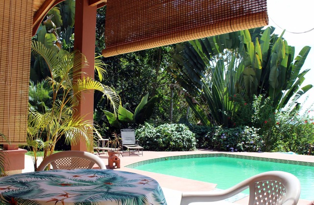 Bella Vista Ballena Park