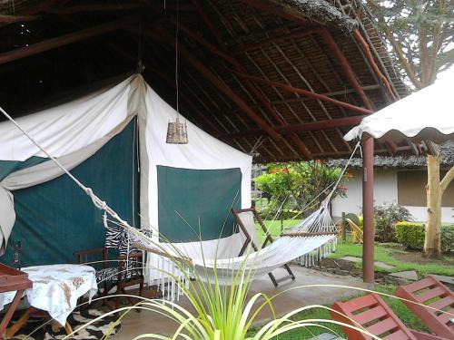 Buffalo's Rest Greenpark-Naivasha