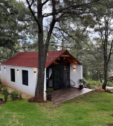 Cabaña Romántica con Tina para Parejas